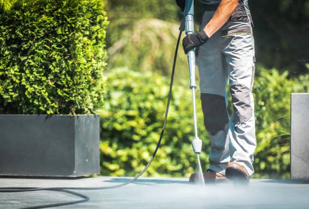 Best Sidewalk and Walkway Cleaning  in North Prairie, WI